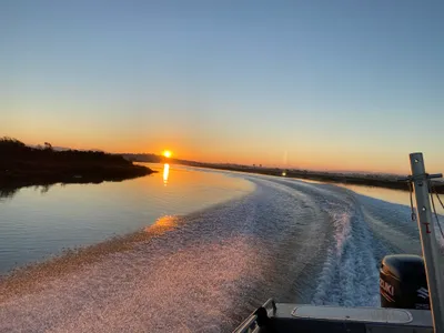 Estuary fieldwork at sunrise